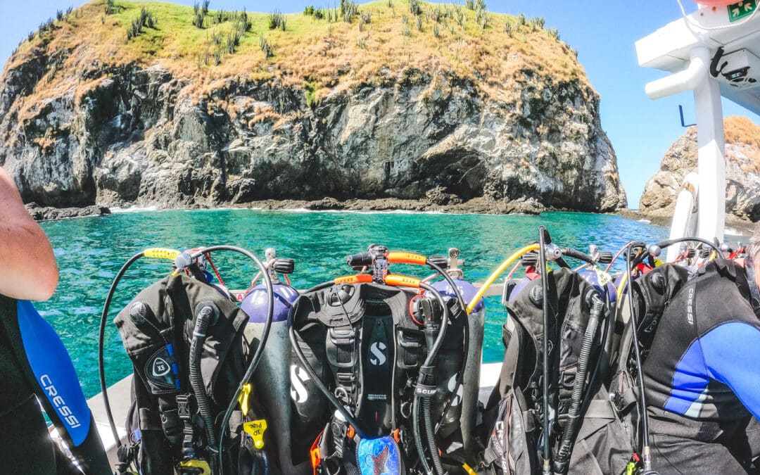 Our Favorite Dive Gear