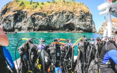 Our Favorite Dive Gear